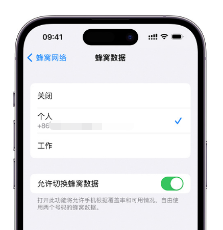 渭城苹果维修服务分享如何在iPhone上使用双卡 